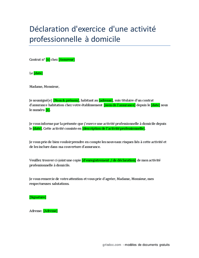 D Claration D Exercice D Une Activit Professionnelle Domicile Doc