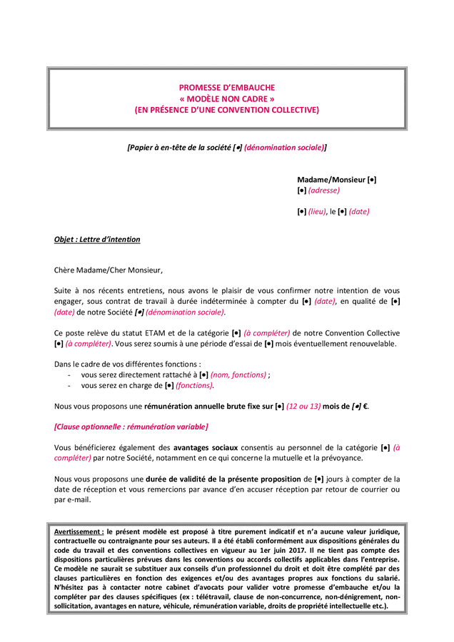 Promesse Dembauche Modèle Non Cadre Doc Pdf Page 1 Sur 2